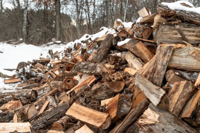 pile of spilt wood